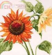 Anchor Maia 5678000-1006  Sunflowers XSD