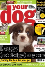 Your Dog - August 2018
