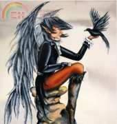 HAED Raven by Sharon Hurst
