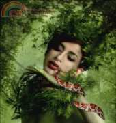 Golden Kite 1743 - Snake