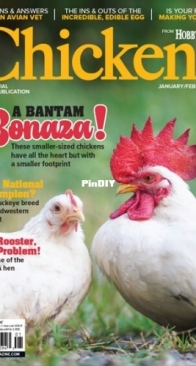 Chickens - January/February 2026
