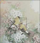 Fiori 4