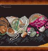Megat 876 Sea Shells