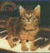 Dimensions - The Gold Collection 3781 Great Cats PCS