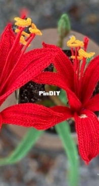 Flawless Crochet Flowers - Leticia Lebron - Sprekelia Formosissima Amaryllis - Free