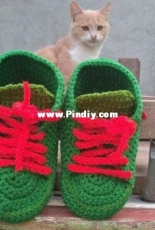 Turtle slipper