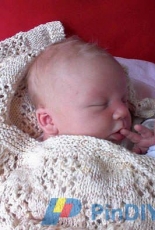 Sams Blanket by Stephanie Pearl-McPhee-English-Free