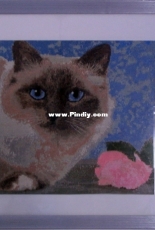 Cat Max