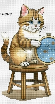 Cat by Alisa Okneas