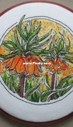 Fritillaria - by Alisa Okneas