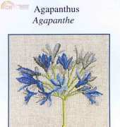 DMC XC0994 Agapanthus