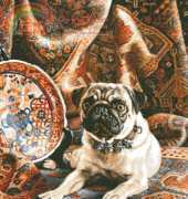 HAED HAETRL 132 Pug with bells  by Thomas Rivers Lovelace