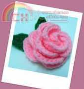 Blooming Rose
