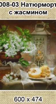 NaDiMa - 008 -03 - Still Life With Jasmine