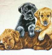 Puppy Pile-up