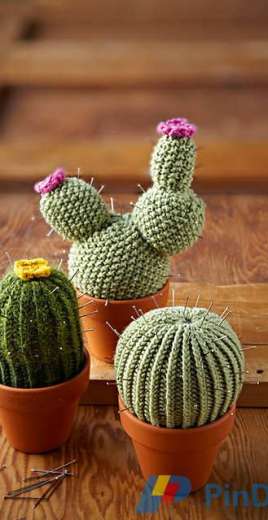 Woolly Cacti by Lucille Randall Free