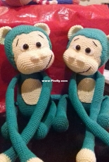 Curtain Tieback