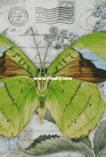 Chimera - Butterfly Vintage