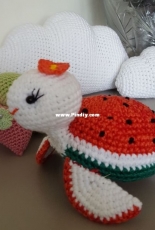 Sweet Watermelon Turtle