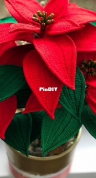 Natagor Finlayson - Poinsettia Christmas Flower