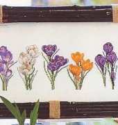 Thea Gouverneur 3074 Crocus Varieties