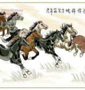Horses