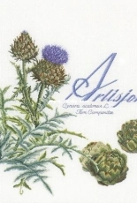 Thea Gouverneur - TG3048 - Artisjok/Artichoke XSD