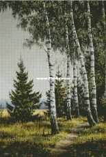 Chimera - Native Spaces