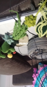 Making a New cactus garden
