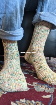 Spring Seeds Socks by CJ Bennett-Free