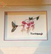 Colibri - Stumpwork