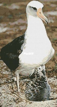 Artecy Cross Stitch - Albatros