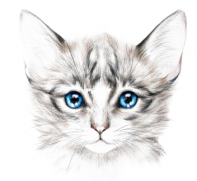 Le Crocette Di Rea - Occhi Blu - Blue Eyes