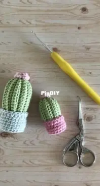Ponto Arte - Renata Araruna - Cactus - Cactos - Portuguese