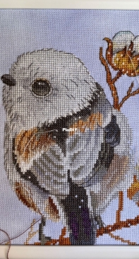 small bird on the tree