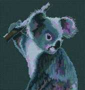 Club Point de Croix - Koala