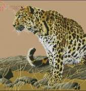 DMC K4922 Vigilance Le Leopard
