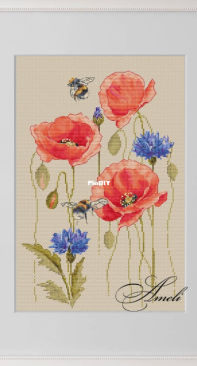 Ameli-Bumblebees in poppies and cornflowers