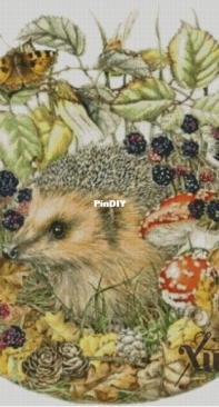 Chimera - Hedgehog in Blackberry