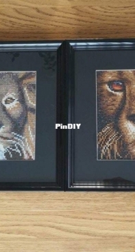 my two diamond paintings