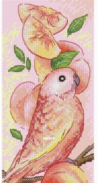 Peach Parrot by Olga Tikhomirova