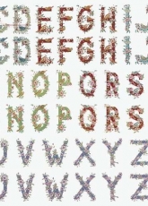 Les Belles Lettres from Creation Point de Croix 32, 34, 36, 37, 39, 40 .xsd