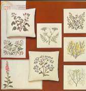 Haandarbejdets Fremme - Herbs and Medicinal Plants in Cross Stitch