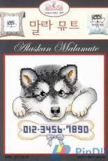 CROSS-Codi C3-01 - Alaskan Malamute