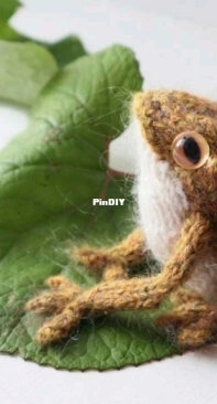 Frog by Claire Garland