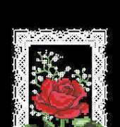 Dimensions 3147 Single Red Rose