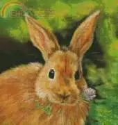 Shinysuns Cross Stitching Clover Honey Bunny