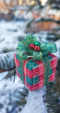 Christmas Gift by Olga Petrenko XSD