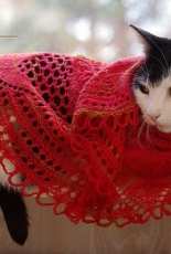 Sirppi Shawlette by Lankakomero -Eng.,Finnish,Portug-Free