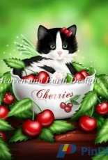 HAED HAEDMED 12357 Cherry Kitten by Melissa Dawn